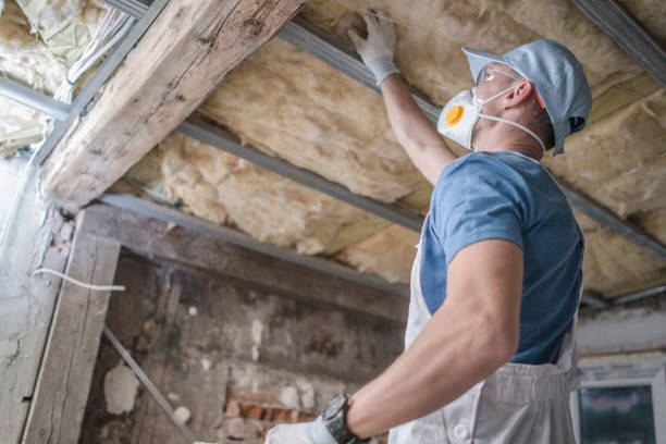 Best Spray Foam Insulation  in Story City, IA